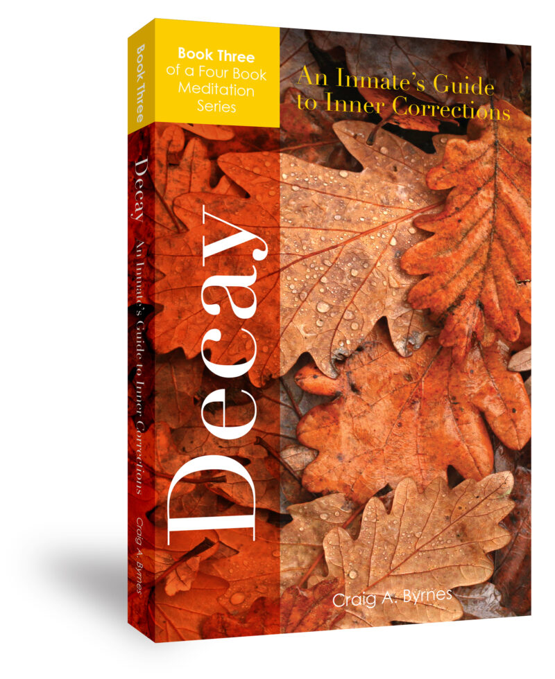 Decay Book