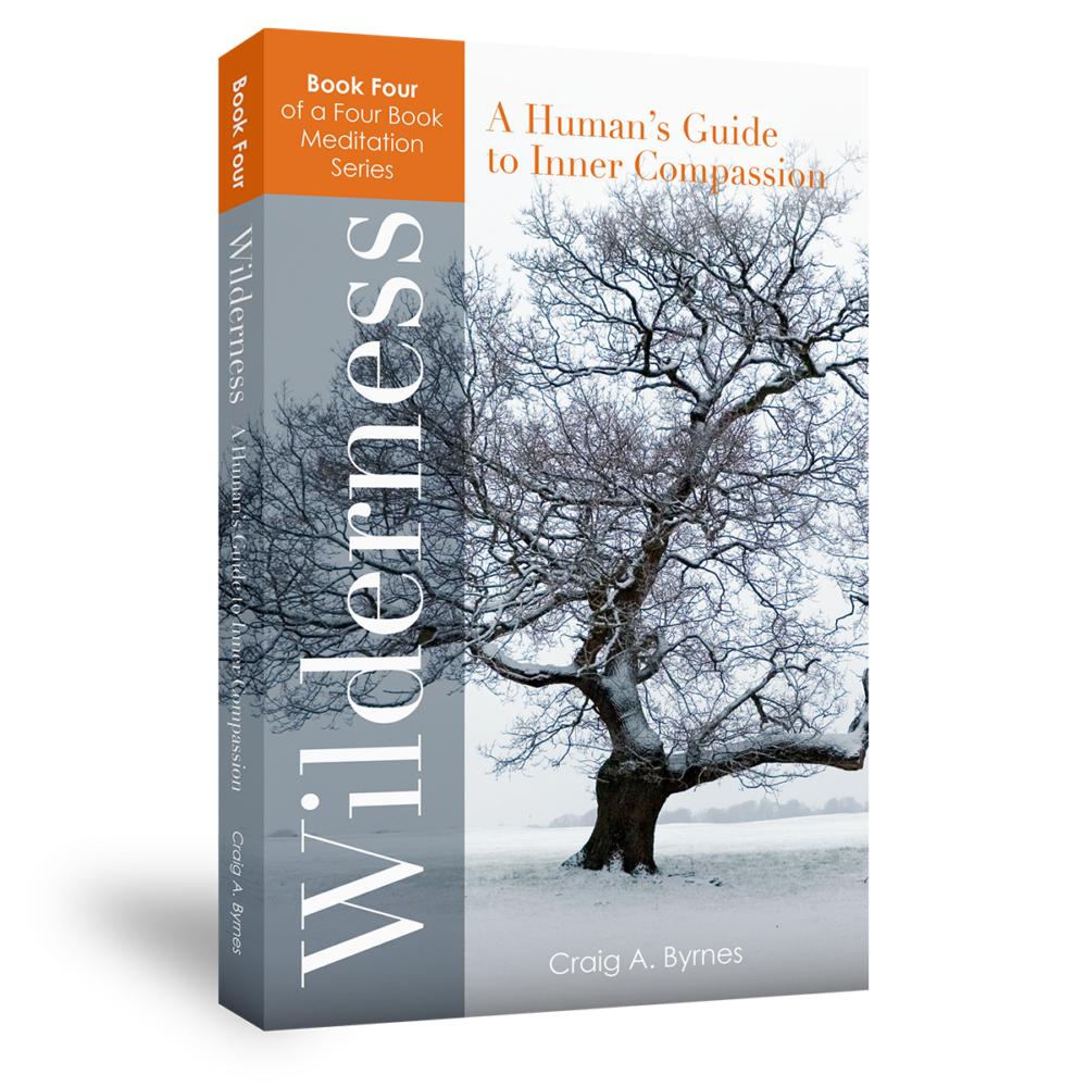 Wilderness - Coming Spring 2025